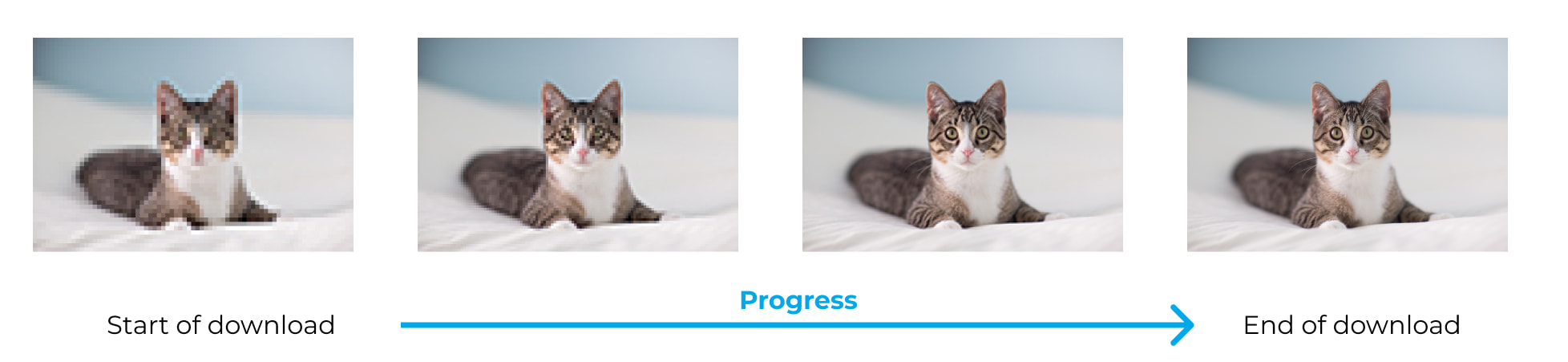 Progressive JPG Image download progress